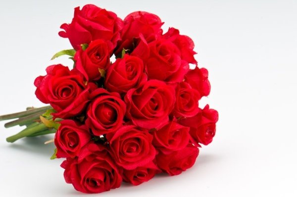 fresh_roses_02_hd_pictures_167002.jpg