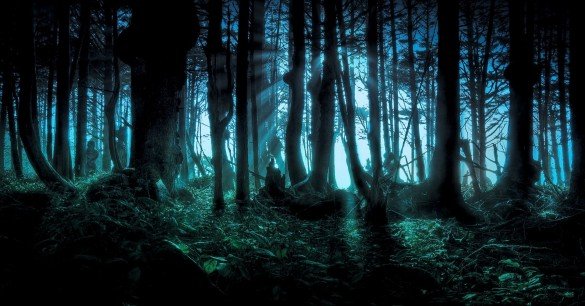 spooky-forest-wallpaper-1-585x306.jpg