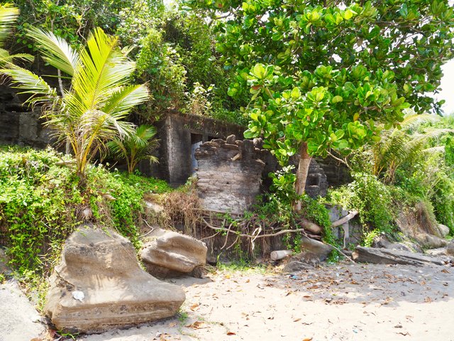 P9160274.jpg