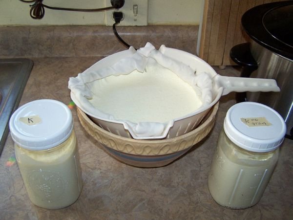 Making kefir cheese crop Nov. 2017.jpg