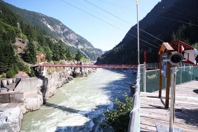 Bridge and Fishway from Tourist Centre.jpg