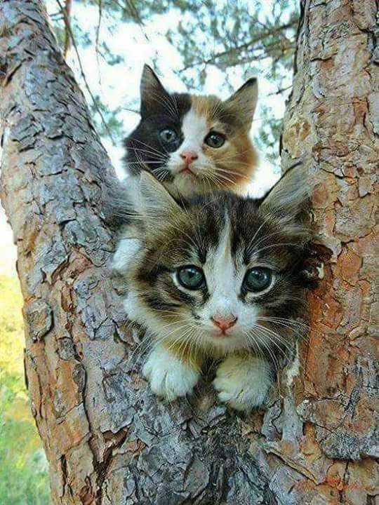 FB_IMG_1513705082566.jpg