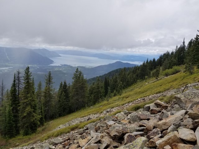 20170610_133124.jpg