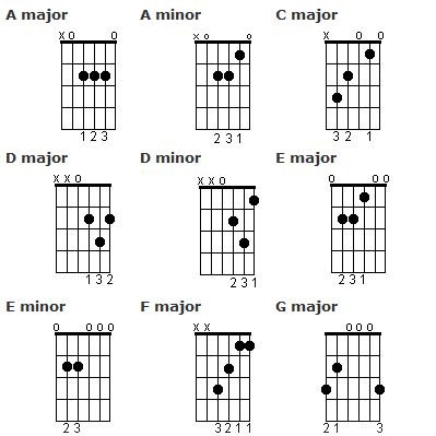 8eb92fcdbfb99a2f1166aeed3ffdb25c--learn-guitar-chords-guitar-chords-for-beginners.jpg
