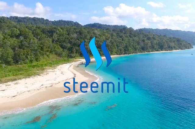 Steemit wide shot.jpg