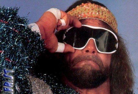 randysavage.jpg