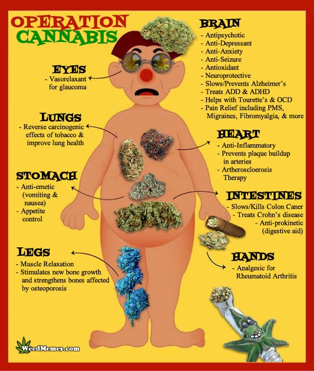operation-cannabis-weed-memes.jpg