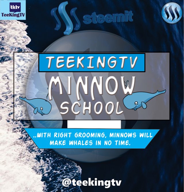 teekingtv minnow school.jpg