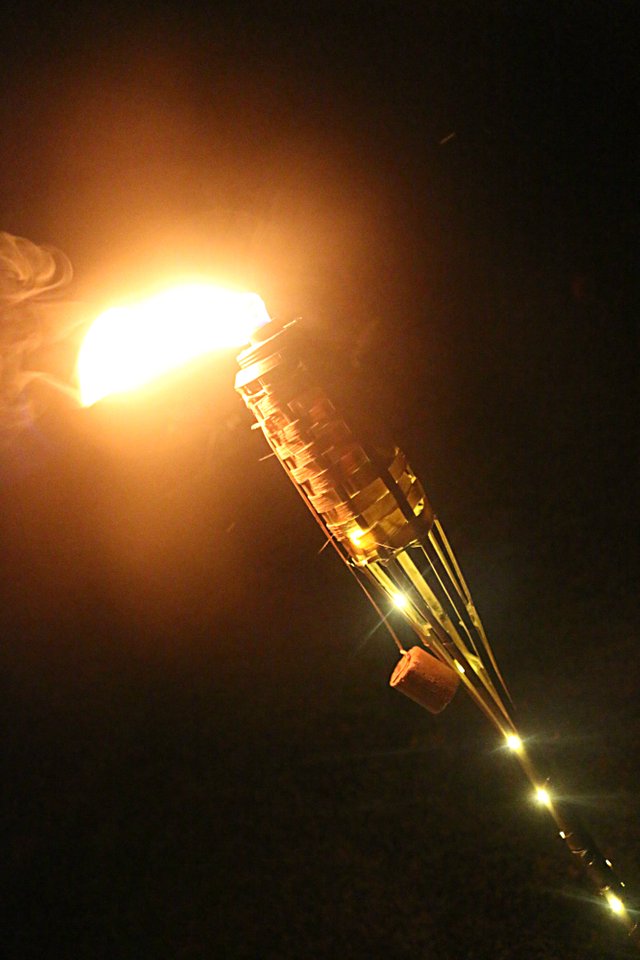 torch.jpg