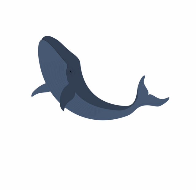 Whale Fins Down Vector.png