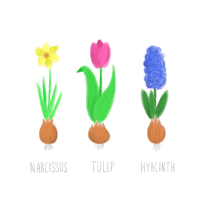 SpringFlowers.png