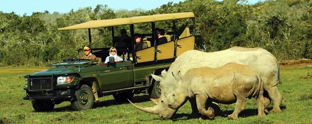 Full-Day-Sun-City-Pilanesberg-Nature-Reserve-Tour.jpg