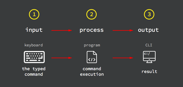 codio-program-process-flow.png