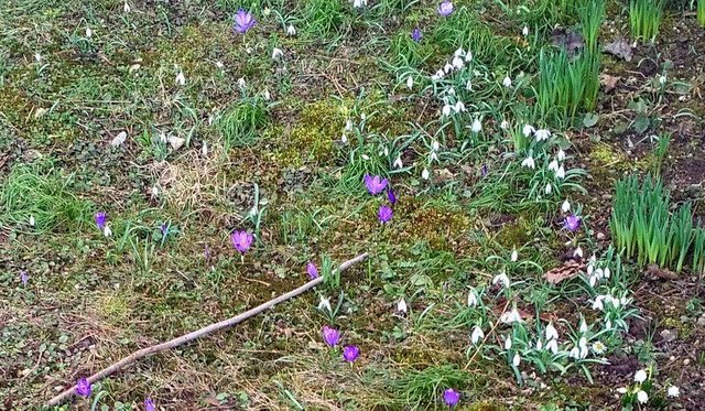 IMG_20180309_171530_HDR.jpg