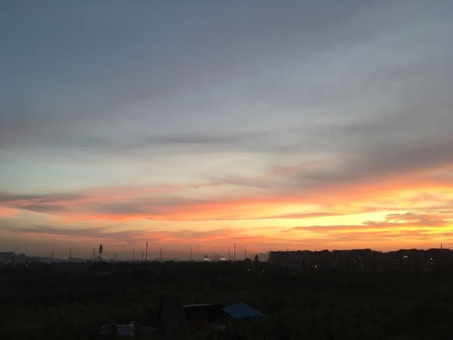 C9FFDD2F-9B90-4694-A95D-EBBC85AA2D36.jpeg