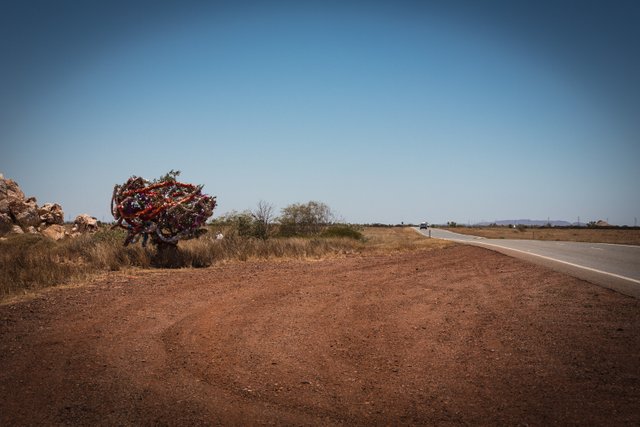 Xmas tree on the road 3.jpg