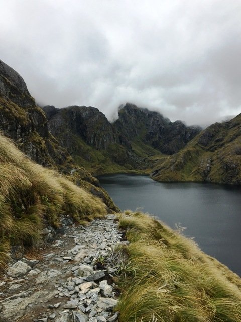 KIWI-Experience-New-Zealand-hiking.jpeg