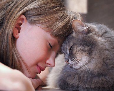 cat-human-affection.jpg