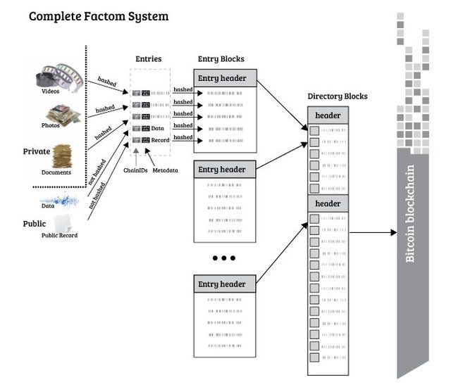 Factom.jpg