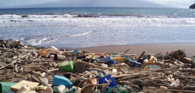 marine_debris_hawaii_cropped.jpg