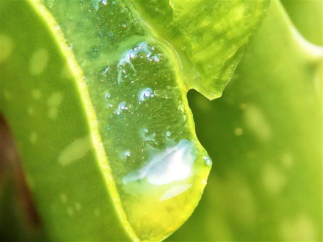 IMG_20180516_120220.jpg