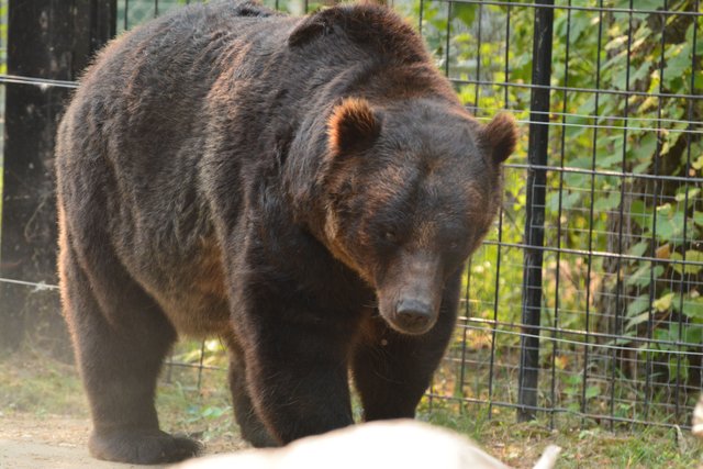 DSC_0767.JPG