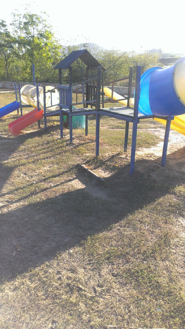 IMAG0310.jpg