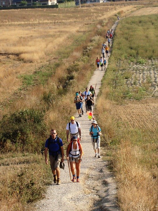 camino-santiago-1180770_960_720.jpg