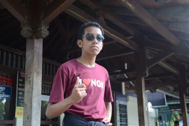 DSC_0217.jpg