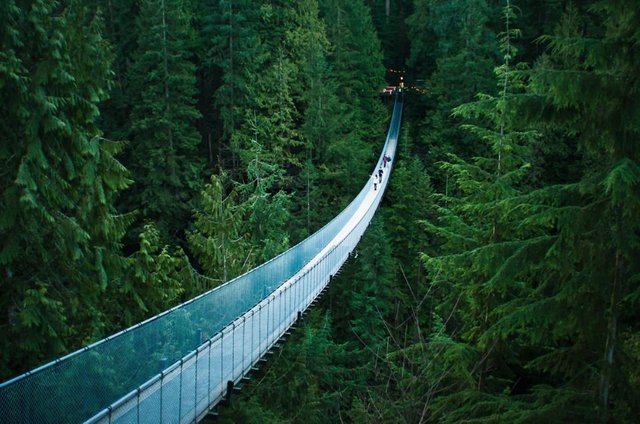 Capilano-Suspension-Bridge-Photo-by-Michelle-Lee.jpg