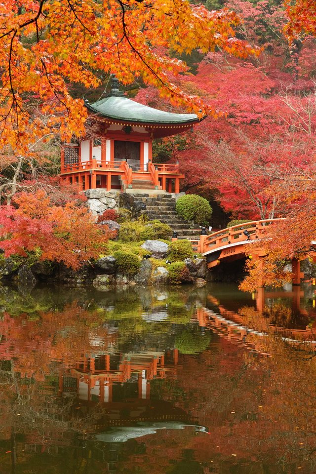 1497300321-daigoji-temple-japan.jpg