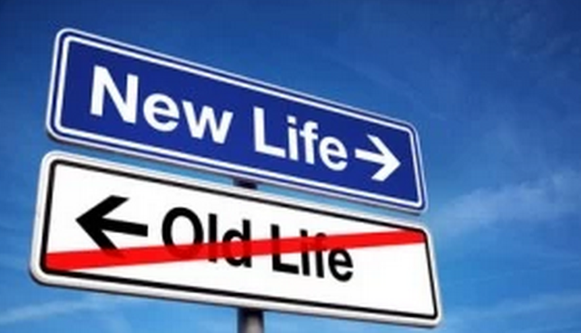 new life.png