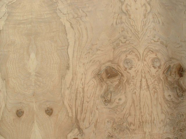 OLIVE ASH BURL.jpg