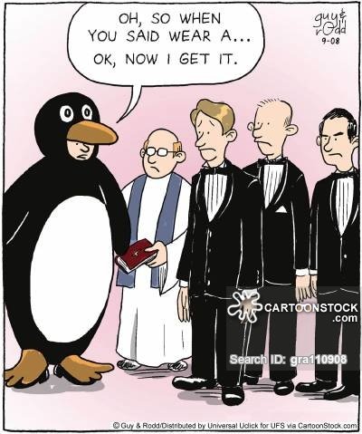 marriage-relationships-wedding-wedding_clothes-wedding_etiquettes-penguin_suits-penguins-gra110908_low.jpg