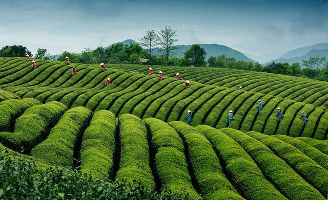 2016-Siena-International-Photo-Awards14.jpg