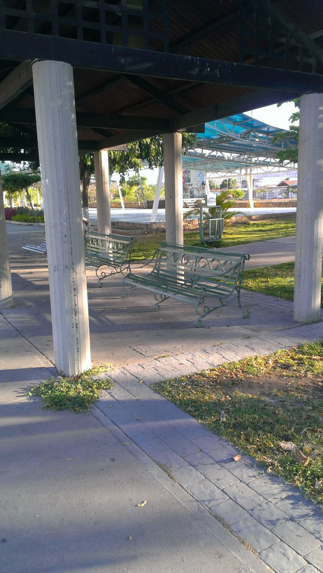 IMAG0298.jpg