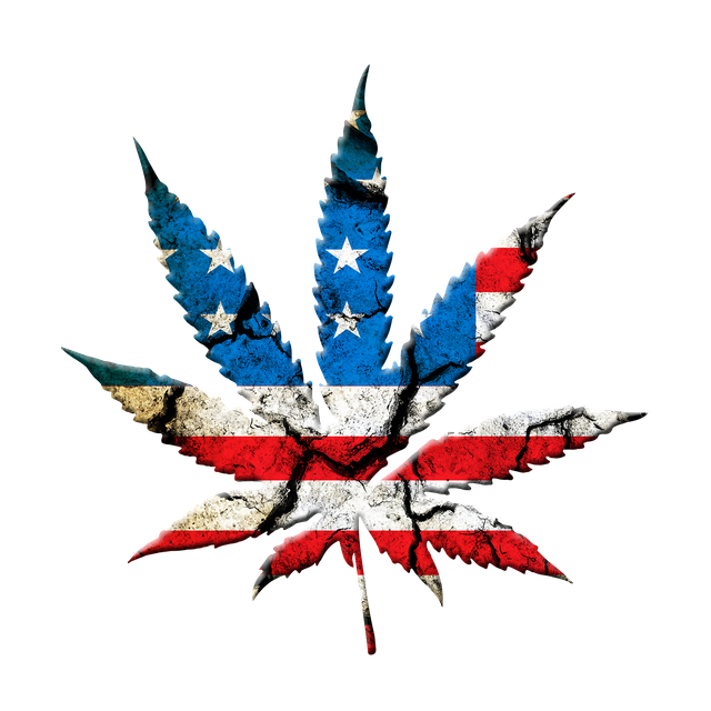 marijuana-leaf-694336_1920.png