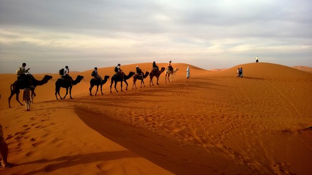 camels_caravan_desert_safaris_dune_107036_3840x2160.jpg