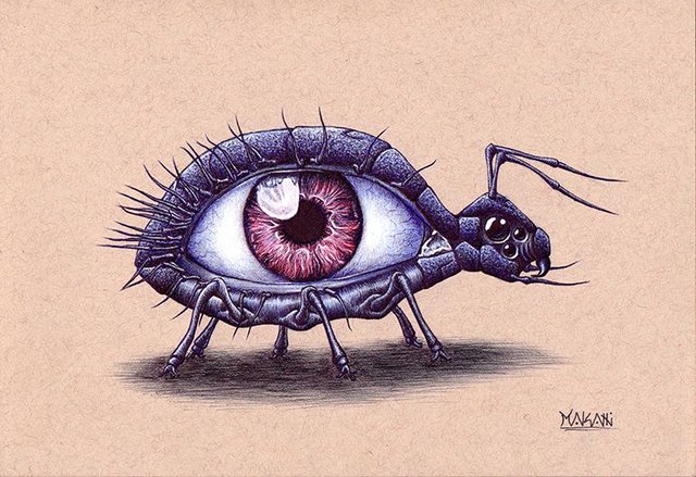 Eye Bug - website.jpg