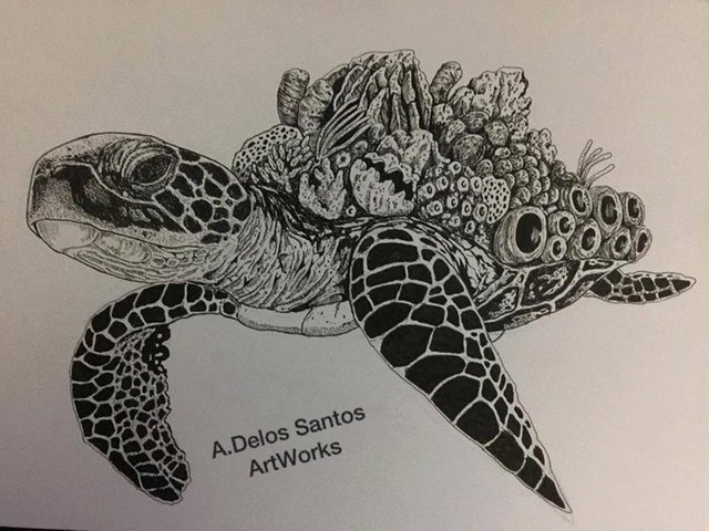 sea turtle art 3.jpg