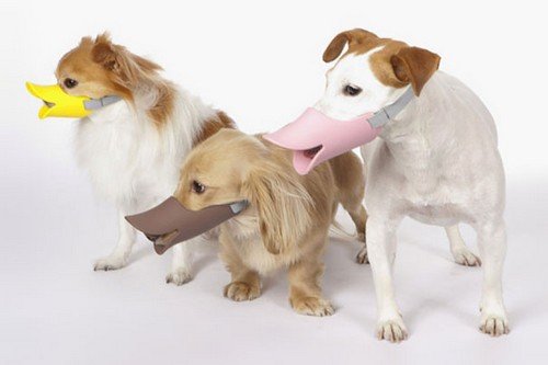 Quack-Duck-Bill-Muzzle-For-Dog.jpg