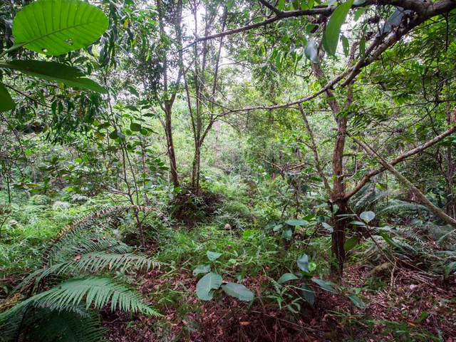 http://uk.businessinsider.com/12-british-army-soldiers-are-hidden-in-this-jungle-picture-2017-2