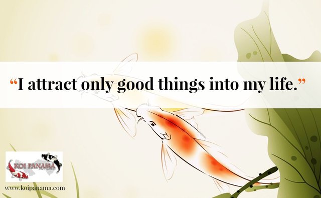 Koi-fish-Facebook-quote011.jpg