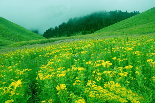 Jaljala_Lake,_a_natural_beauty_of_Rolpa,_Nepal..JPG