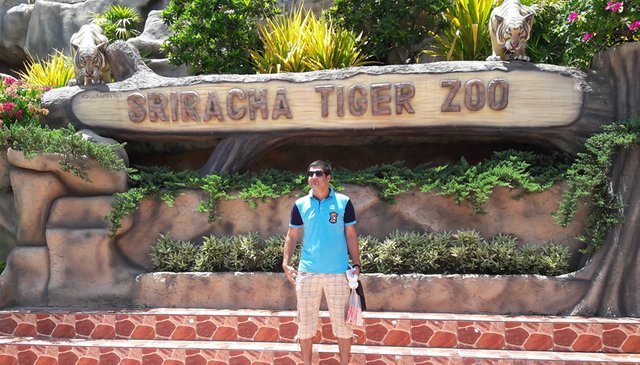 tiger-zoo-in-Pattaya.jpg