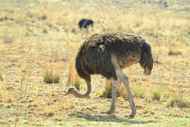 DSC_0101.JPG