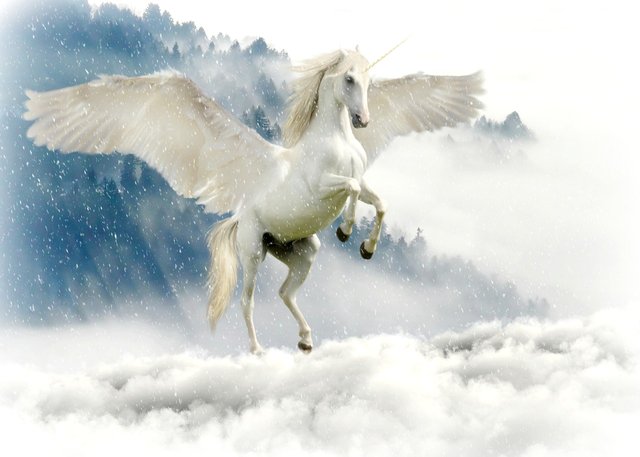 unicorn-2875349_1280.jpg