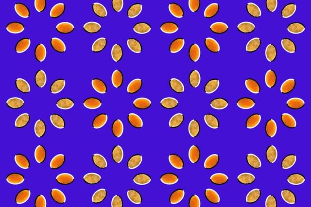 30 Optical Illusions That Will Make Your Brain Hurt