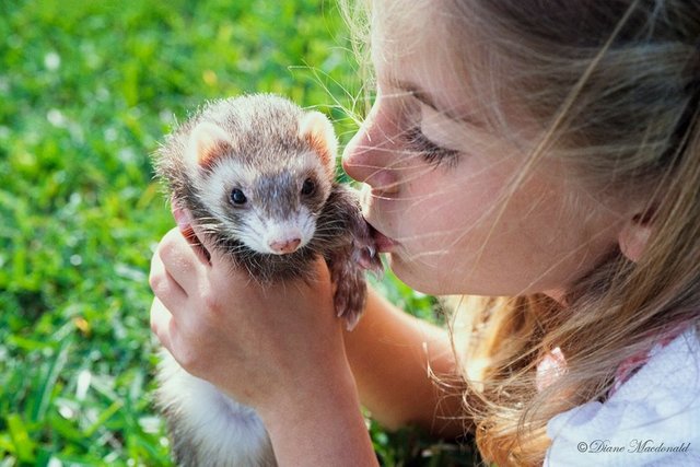 girl with ferret.jpg