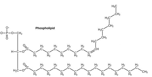 Figure_02_03_06-.jpg